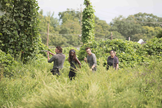 TWD_709_GP_0818_0046.jpg