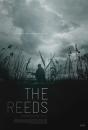 Reeds, The