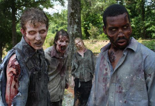 The Walking Dead The Walking Dead