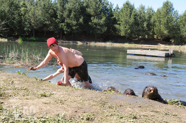 Zombiber » galerie » BlairWitch.de