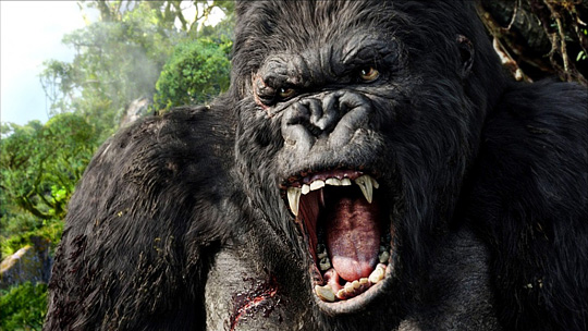 4635148-kong