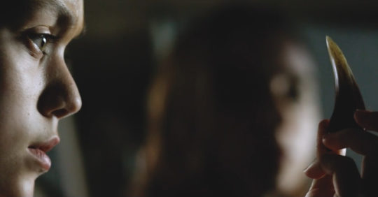 bertino-monster-trlr-fb